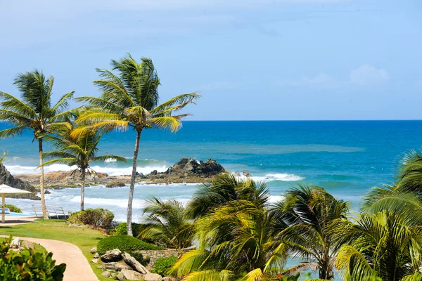 Tropische kust — Stockfoto