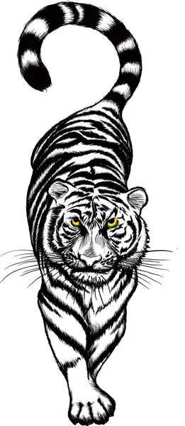 Tigre de agachamento preto e branco — Vetor de Stock