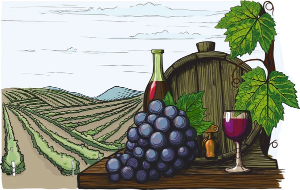 Şarap yapımı — Stok Vektör