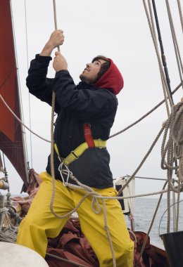 Young sailor at work clipart