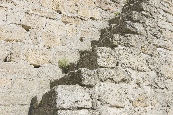 Ladder on a medieval wall — Stock Photo, Image