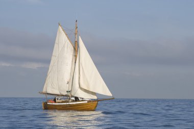Tender with white sails clipart