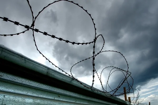 stock image Barbed wire