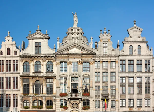Oude gebouwen op de grote markt van Brussel Stockfoto