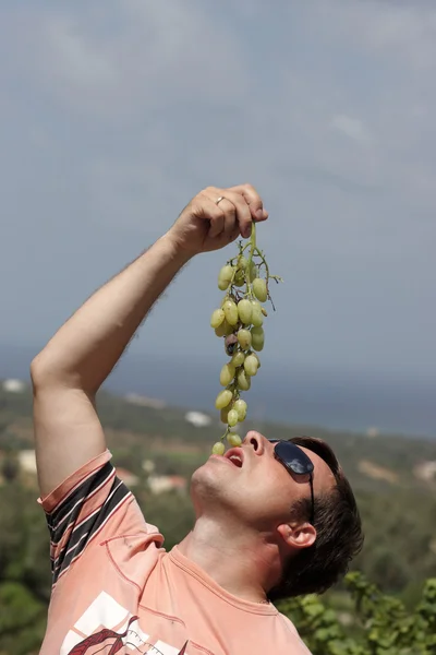 Człowiek posiada winorośli — Zdjęcie stockowe