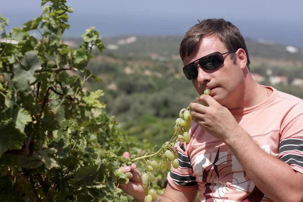 Людина смаки винограду — стокове фото