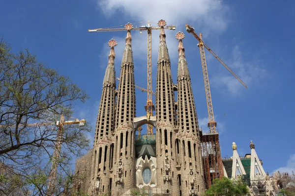 Katedralen i barcelona — Stockfoto