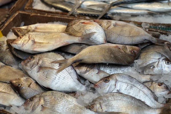 Pescado en el mercado —  Fotos de Stock