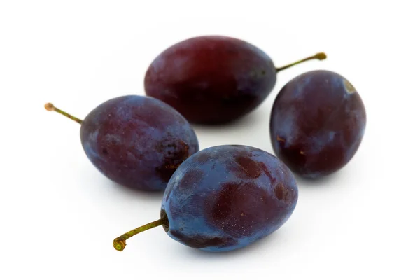 stock image Plums