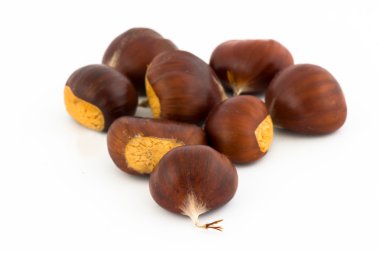 Kestane (castanea sativa)