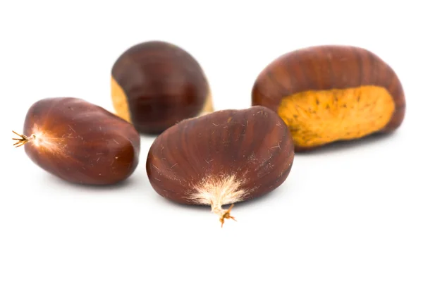 Chestnuts (Castanea sativa) — Stock Photo, Image