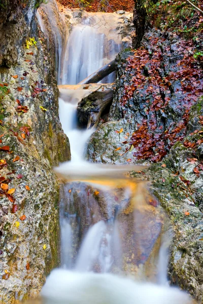 Autumn stream — Stock Photo, Image