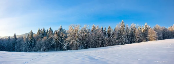 Winterlandschap — Stockfoto