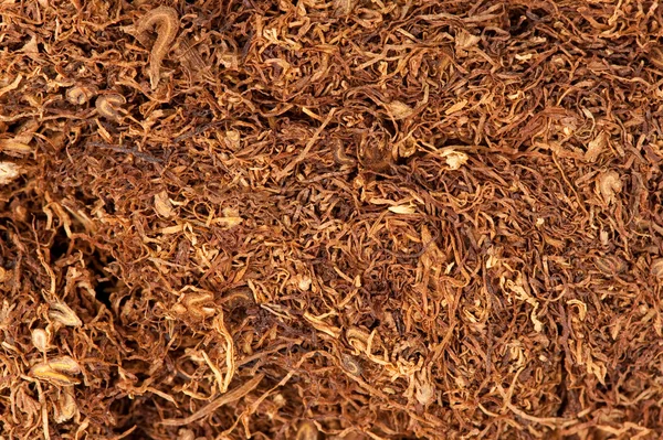 Tobacco background — Stock Photo, Image