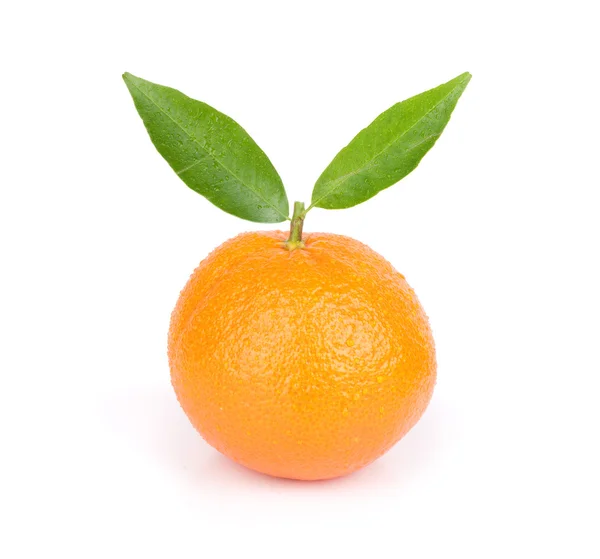 Mandarine fraîche — Photo