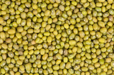 Mung Beans arkaplanı