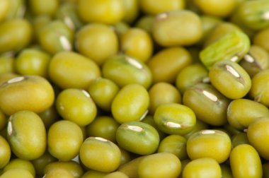 Mung Beans arkaplanı