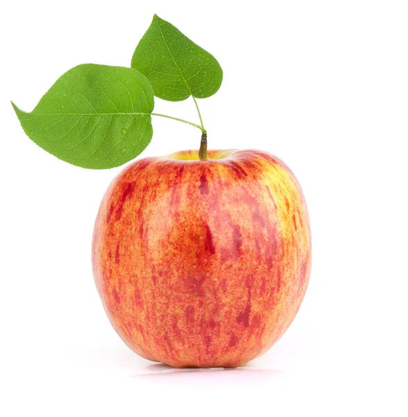 熟透的红苹果 用一片树叶 在白色背景上孤立 — 图库照片