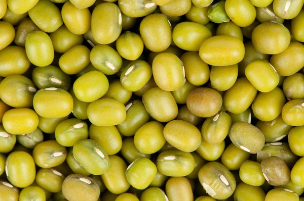 Mung Beans Achtergrond — Stockfoto