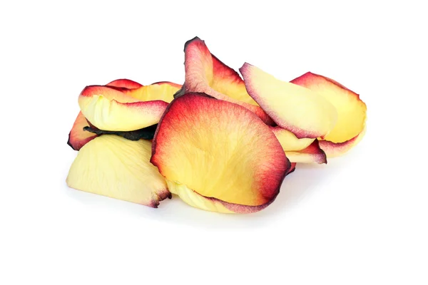 Желтые лепестки роз — стоковое фото