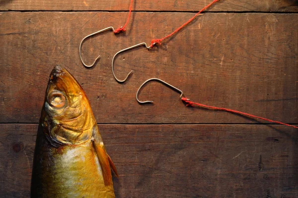 釣りの概念 — ストック写真