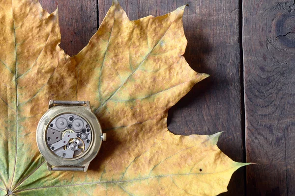 Tiempo de otoño — Foto de Stock