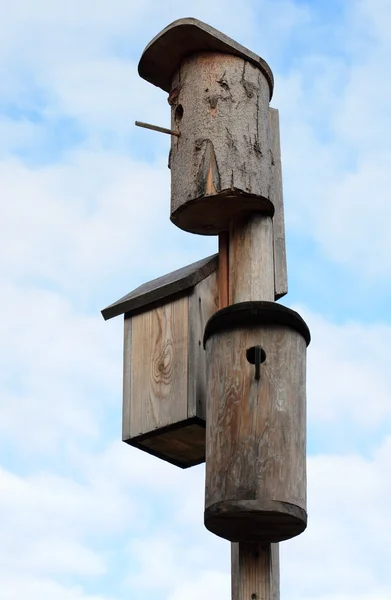 Drie starling-huizen — Stockfoto