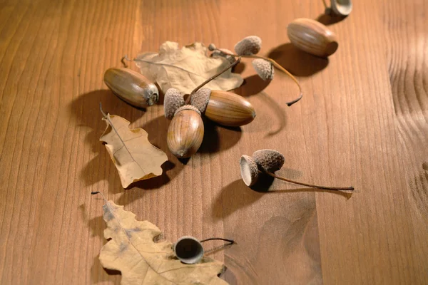 Ghiande su legno — Foto Stock