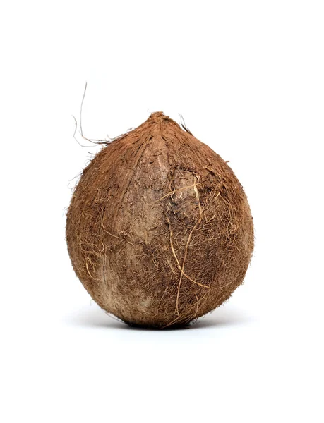 Kokos na biały — Zdjęcie stockowe