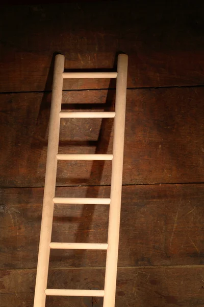 stock image Wooden Ladder