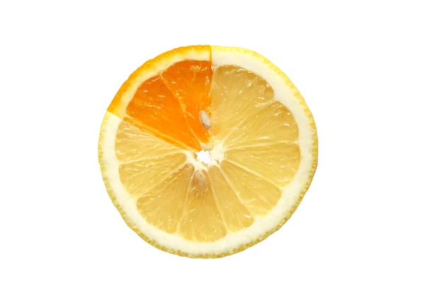 Conceito de citrinos — Fotografia de Stock