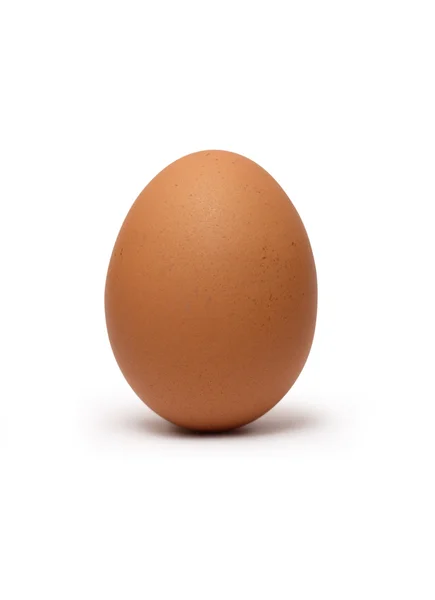 De kip ei bruin — Stockfoto