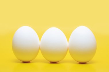 Üç tavuk yumurta sarı arka plan üzerinde dikey duran beyaz