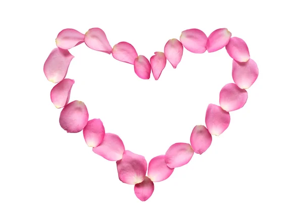 Форма Сердца Красных Лепестков Роз Изолированный Белом Обрезкой Пути — стоковое фото