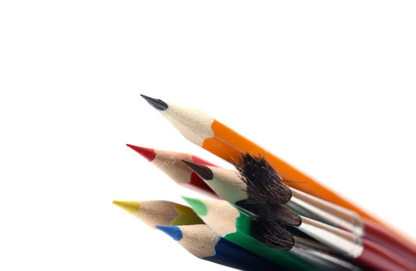画笔和颜色铅笔在白色背景上的特写 — 图库照片