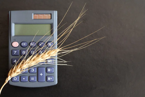 Вуха Пшениці Калькулятора Лежать Чорній Поверхні Копіювальним Простором — стокове фото