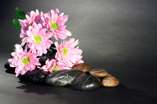 Flores y piedras — Foto de Stock