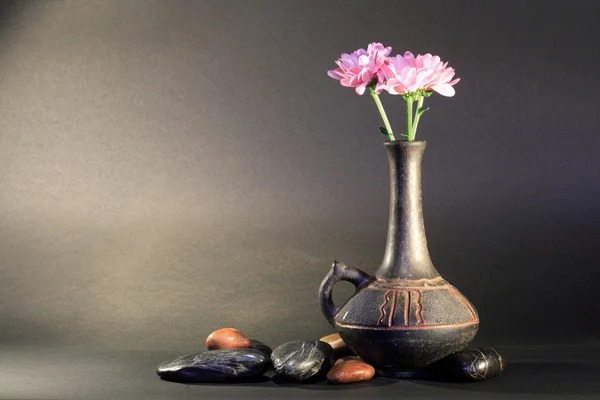 花と石 — ストック写真