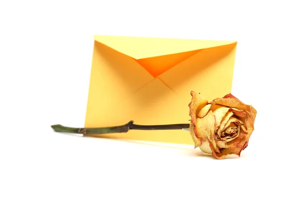信封和玫瑰 — 图库照片
