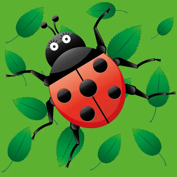Ladybug on leaves — Stock Vector