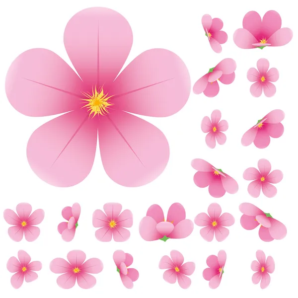 Sakura flores — Vetor de Stock