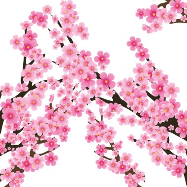 Sakura tree 2 clipart