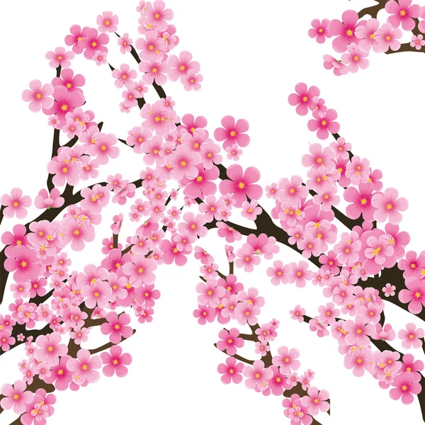 Sakura árvore 2 — Vetor de Stock