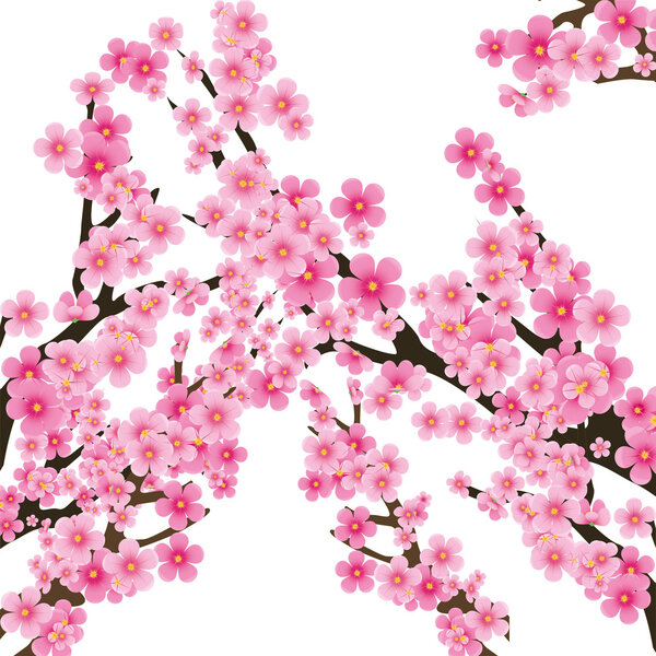 Sakura tree 2