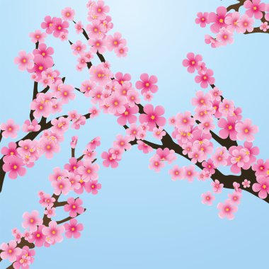 Sakura tree clipart