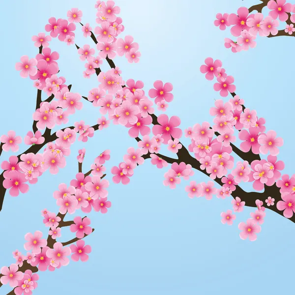 Arbre Sakura — Image vectorielle