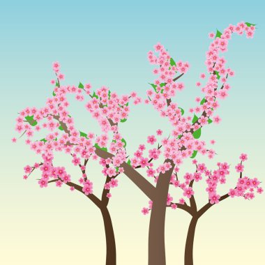 Sakura trees clipart