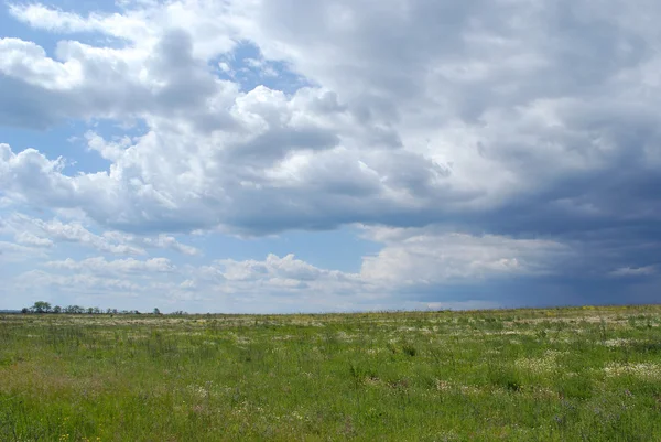 Nature Non Urbaine Prairie Verte Paysage — Photo