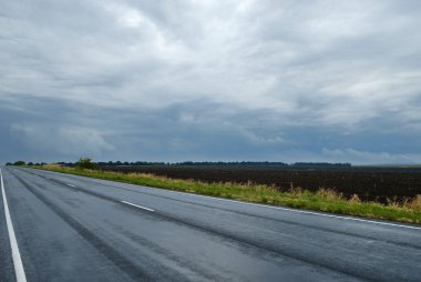 ıslak asfalt yol ile peyzaj