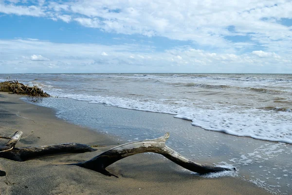 自然の泥の海 空とビーチ — ストック写真